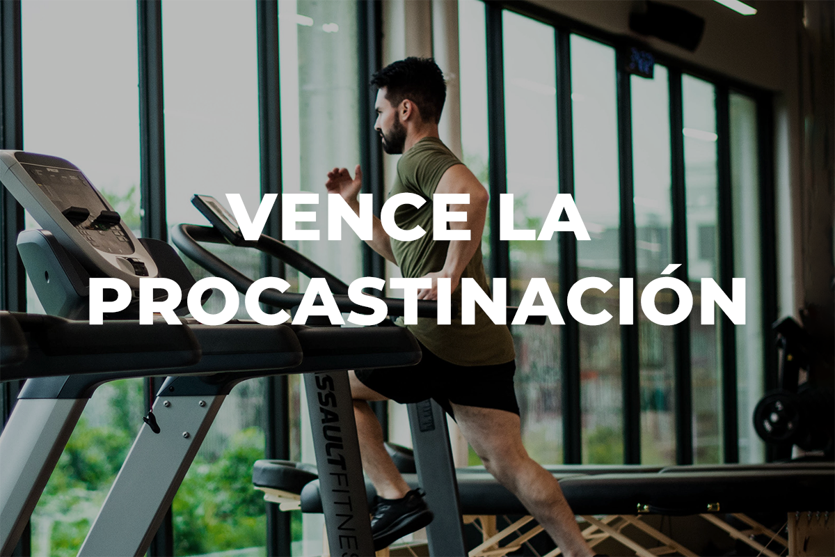 pexels william choquette 1954524.png